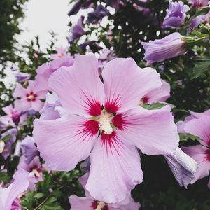 Meet your Posher, Summer